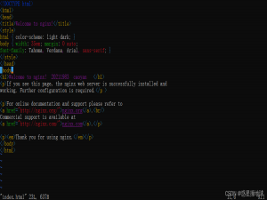 Docker容器操作教程
