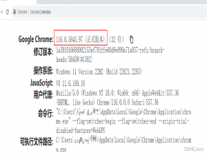 Selenium安装WebDriver最新Chrome驱动(含116/117/118/119)_chromedriver 119