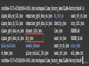 llama-factory SFT系列教程 (二)，大模型在自定义数据集 lora 训练与部署_llama-factory自定义数据集