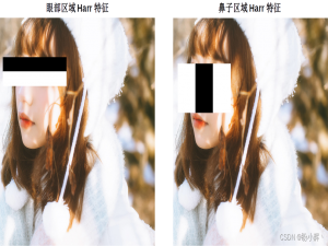 OpenCV 车牌检测