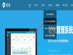 【若依框架】代码生成详细教程，15分钟搭建Springboot+Vue3前后端分离项目，基于Mysql8数据库和Redis5，管理后台前端基于Vue3和Element Plus，开发小程序数据后台_若依vue3