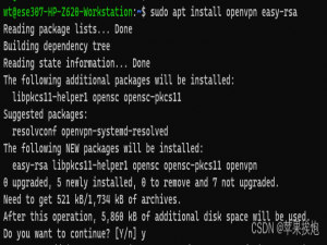 Ubuntu 搭建OpenVPN服务器