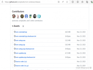 Angular进阶-NVM管理Node.js实现不同版本Angular环境切换_多版本angular