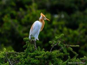 醒醒吧，职场不是学校，没人有义务教你_职场不是学校,不要等着教,要主动去学