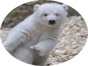 【SpringBoot】SpringBoot使用mail实现登录邮箱验证_java如何实现邮箱验证码登录