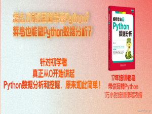 《编程菜鸟学 Python 数据分析》让工作自动化起来！_谁说菜鸟不会数据分析python篇pdf