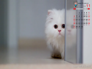 【DataSophon】DataSophon1.2.1服务组件开启 kerberos