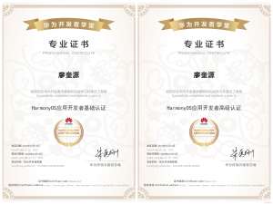 2025年，如何考取HarmonyOS应用开发者认证？_harmonyos应用开发者高级认证