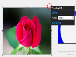 【21】C# 窗体应用WinForm ——图片框PictureBox属性、方法、实例应用