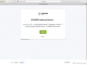 【AdGuard Home】轻松实现全屋去广告与追踪，AdGuard Home助力更安全浏览体验