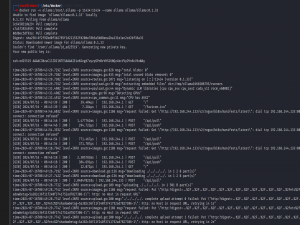 Ollama远程代码执行漏洞（CVE-2024-37032）