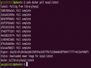 如何在Linux用Docker部署MySQL数据库并远程访问本地数据库_docker 怎么链接本地mysql