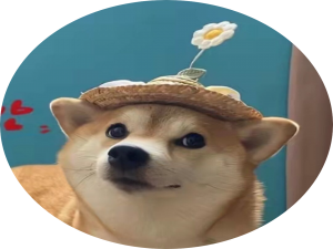 Java中利用BitMap位图实现海量级数据去重_java bitmap