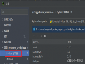 pycharm配置SSH远程连接服务器（0基础详细版）_pycharm ssh