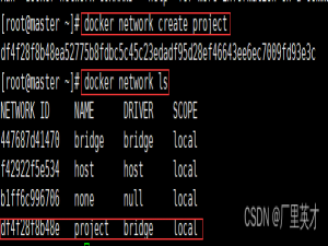 Docker-完整项目的部署(保姆级教学)_docker部署项目教程