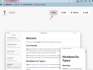 Mac安装激活--Typora,一个比记事本更加强大的纯文本软件_typora mac