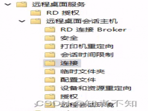 Windows远程桌面RDP mstsc 性能优化用显卡异地玩游戏_将硬件图形适配器应用于所有远程桌面服务会话