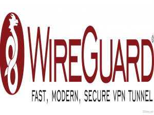 WireGuard 组网教程：快速构建安全高效的私密网络并实现内网穿透_wrieguard