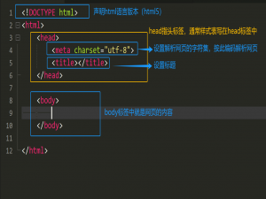 前端网页开发学习（HTML+CSS+JS）有这一篇就够！