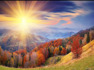 揭秘数据结构的魔力：用堆（Heap）打造高效排序