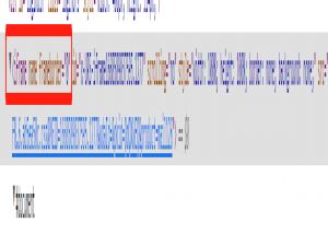 Selenium做Web自动化踩过的坑_selenium webdriver 初始化失败: message: no such element