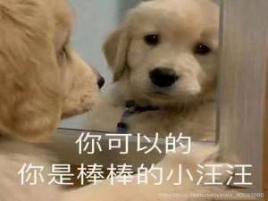 MySQL面试题合集！_mysql 面试题