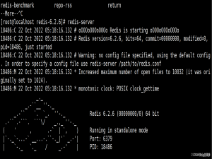 CentOS 7下载安装Redis（超详细，亲测可行）_centos 安装redis