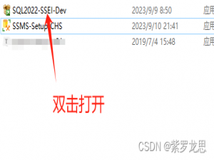 SQL Server2022版详细安装教程（Windows）_sql2022安装教程