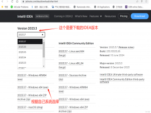 【Java篇】IntelliJ IDEA 安装与基础配置指南_idea配置java