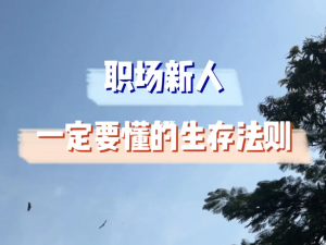 职场进阶五法则：工作不仅是谋生，更是自我增值的旅程_工作不仅是谋生,也是提升自我和实现自身价值的重要