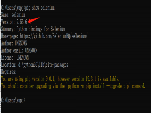 Selenium+python自动化测试：解决无法启动IE浏览器及报错问题_selenium ie