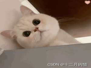 山东大学《Web数据管理》期末复习宝典【万字解析！】