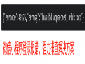 微信小程序 - 解决报错{“errcode“:40125,“errmsg“:“invalid appsecret, rid: xxx“}小程序登录授权报错（小程序获取Appsecret报错40125）_微信 40125