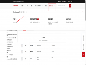 若依框架SpringBoot从Mysql替换集成人大金仓（KingBase）数据库_springboot kingbase