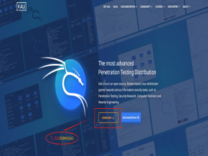 Kali Linux 系统安装到U盘【保姆级教程，小白也可以完成】_kali安装到u盘