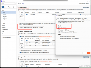 1.6-抓包技术（Burp Suite\\Yakit抓包\\Web、APP、小程序）