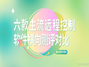 【远程工具系列】节点小宝、RustDesk、向日葵、ToDesk、TeamViewer、AnyDesk ——六款主流远程控制软件横向测评对比_类型节点小宝的工具