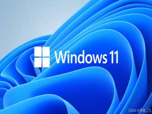 Windows 11 首次开机引导（OOBE 阶段）跳过登录微软账户，创建本地账户_windows11 oobe