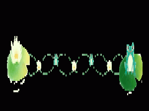 《C++初阶之STL》【vector容器：详解 + 实现】