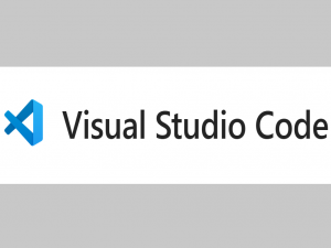 [实验日志] VS Code 连接服务器上的 Python 解释器远程调试 (含 Pytorch 分布式 torch.distributed.launch 的调试.json配置)_vscode远程调试python