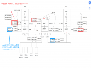 Linux网络-------1.socket编程基础---（UDP-socket）