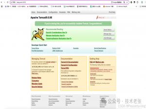 Apache Tomcat 远程代码执行漏洞(CVE-2025-24813) 超详细！