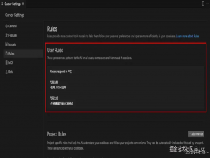Cursor Rules使用全攻略：让项目代码更智能、更高效