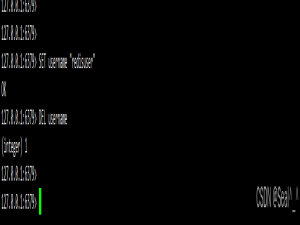 Redis键(Key)操作详解：从基础到高级应用