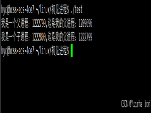 【Linux系统】详解，进程控制