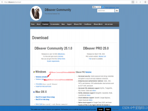 DBeaver数据库管理工具的简介、下载安装与优化配置_dbeaver community