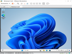 ⭐️【2024年新版教程】vmware tools安装步骤（Windows、Linux、MacOS版本）