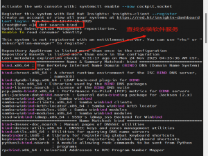 Linux系统中DNS域名解析服务器的配置_配置域名解析服务器