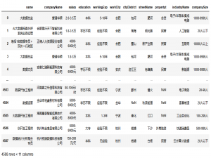 【62 Pandas+Pyecharts | 智联招聘大数据岗位数据分析可视化】_智联招聘 数据分析