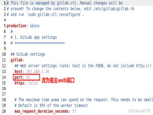 在Docker上部署Gitlab-CE私有云环境